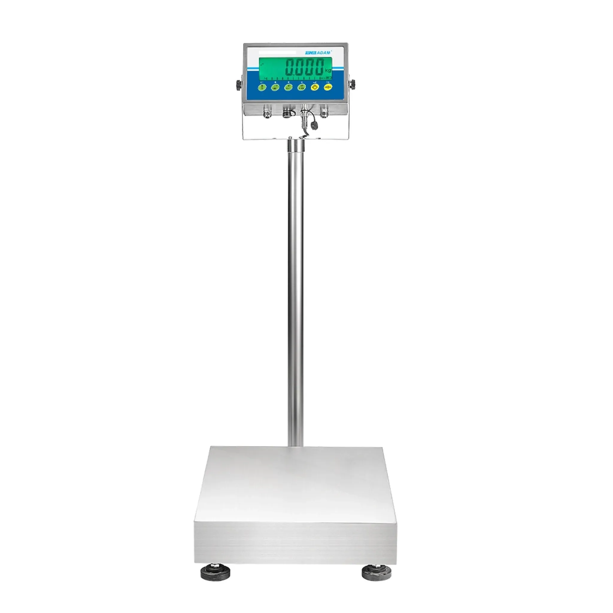 Platform Scales