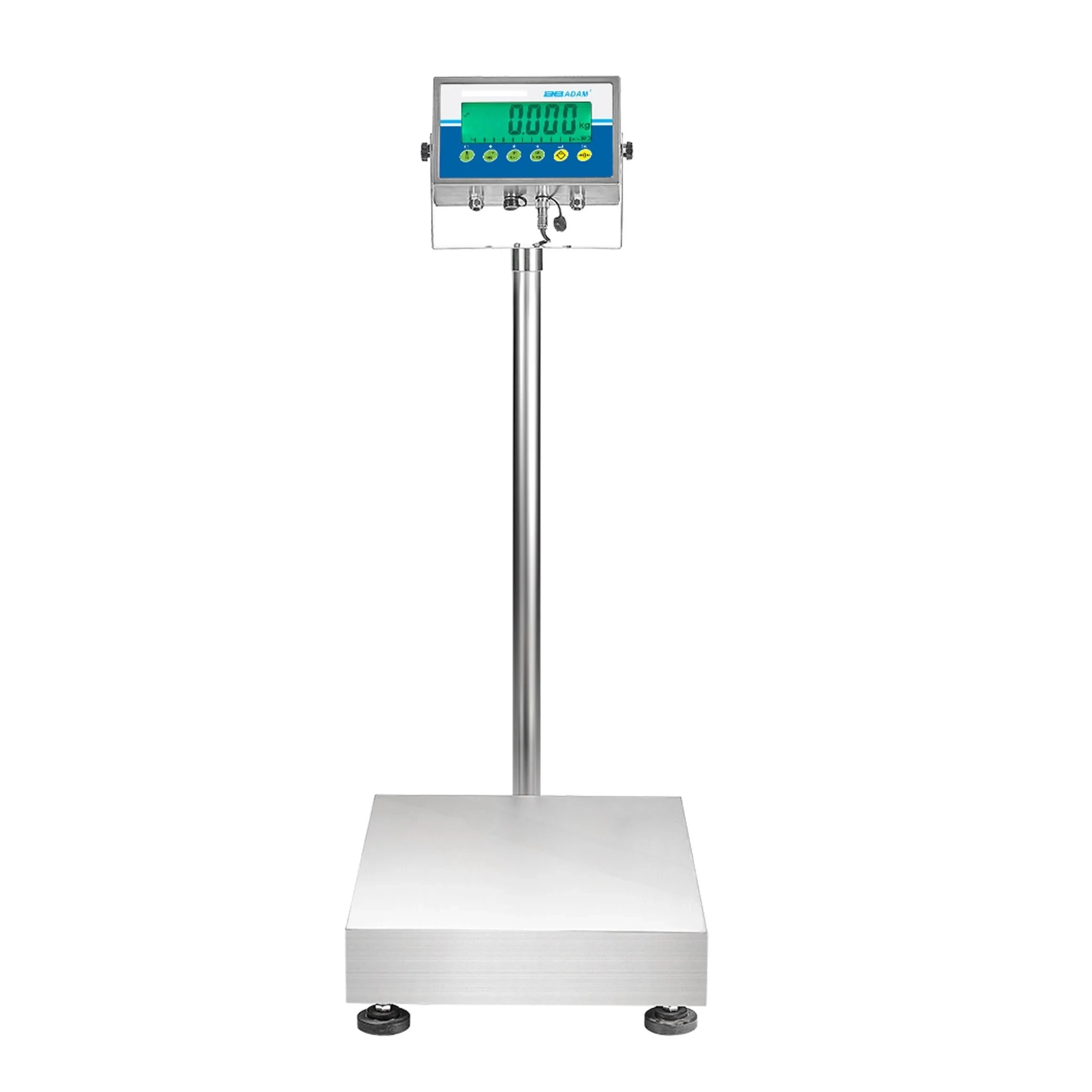 Platform Scales