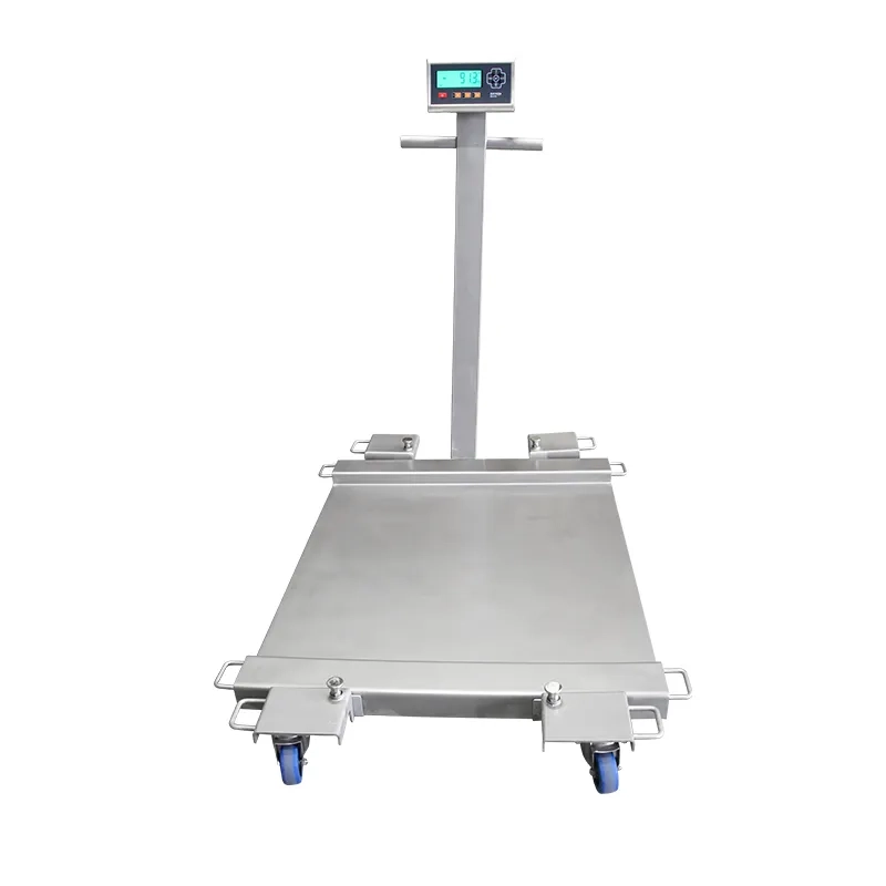 BAYKON BA Low-Profile Floor Scales