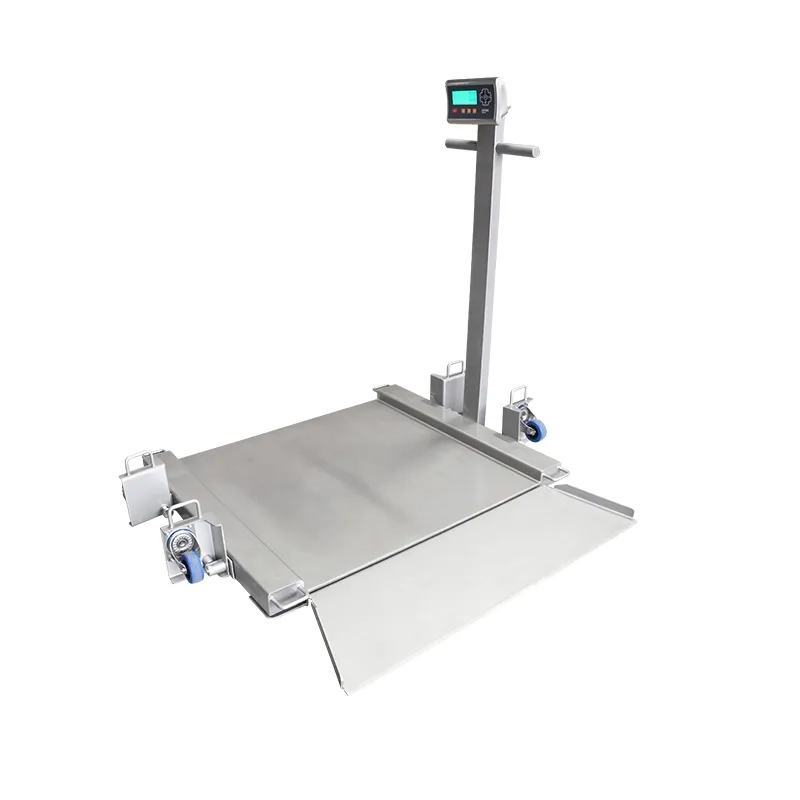 BAYKON BA Low-Profile Floor Scales photo 2