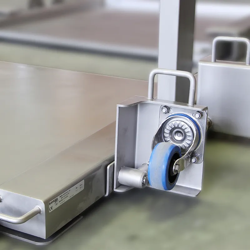 BAYKON BA Low-Profile Floor Scales photo 4