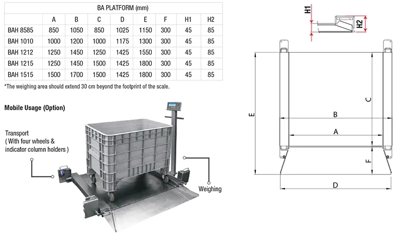 BAYKON BA Low-Profile Floor Scales photo 6