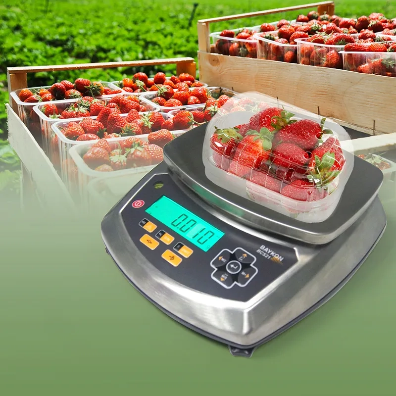 Baykon BCS21(S) Bench Scale photo 2