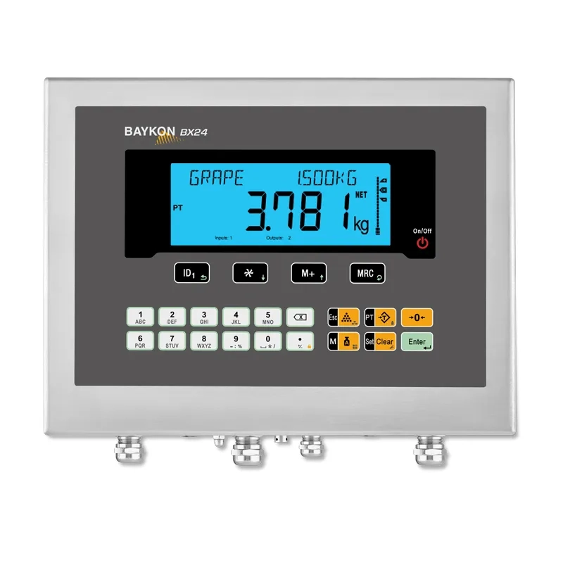 BAYKON BX24/BX24D Weighing Indicator photo 2