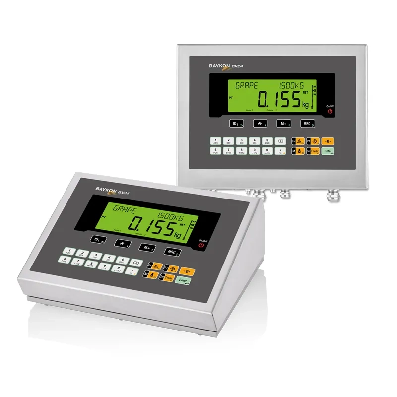 BAYKON BX24/BX24D Weighing Indicator photo 3
