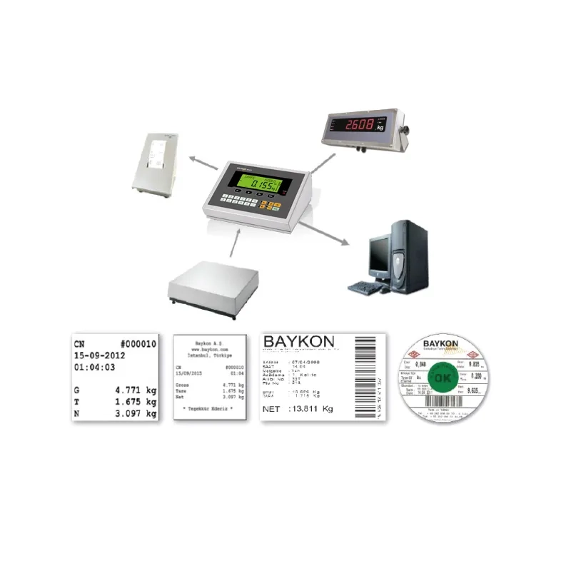 BAYKON BX24/BX24D Weighing Indicator photo 4