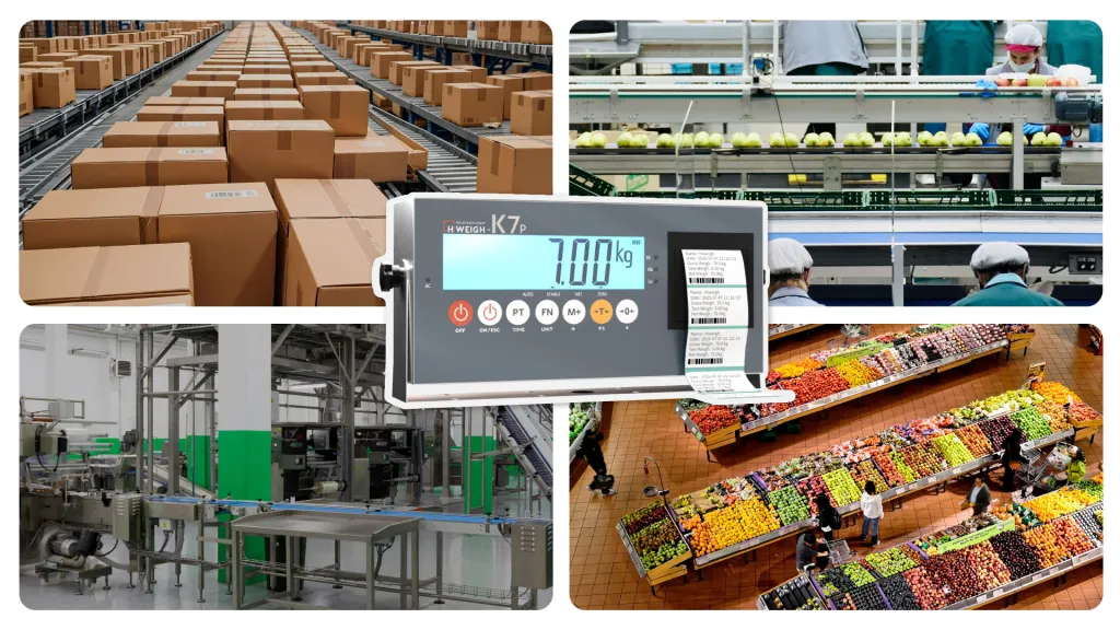 HiWEIGH K7P Weighing Indicator with Printer photo 4